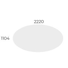 EX-TD-220/120-FL11   Ovális kialakítású tárgyalóasztal, FL11 fémlábbal