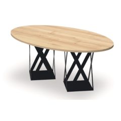   EX-TD-220/120-FL8  Elegáns megjelenésű ovális tárgyalóasztal FL8 fémlábbal, 220 x 120 cm-es méretben